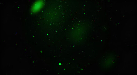 Abstract green particles floating in a dark space with a bokeh effect