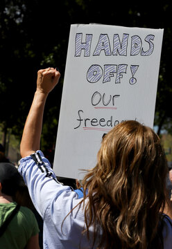 Sign from HANDS OFF protest