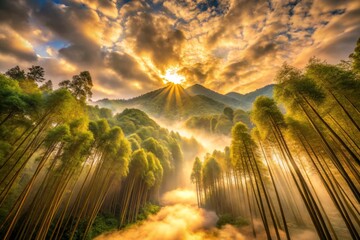 Bamboo Forest Sunrise with Mountain View