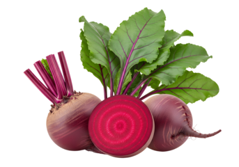 Freshly isolated red beetroot with green leaves and red radishes are a healthy vegetarian food, white background isolated