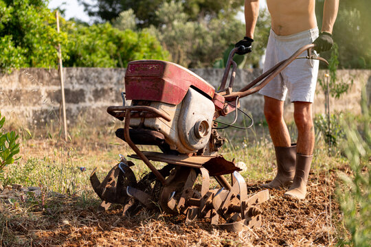 Gardener Using Tiller to Prepare Soil 