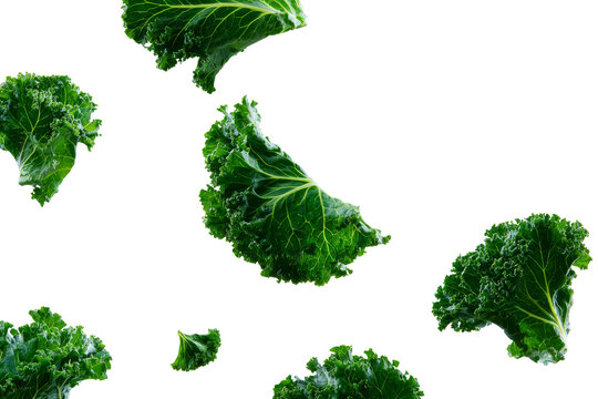 Falling fresh curly kale leaves isolated on transparent background