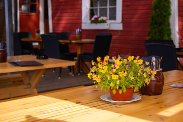 Beautiful flower close-up of Finnish Restaurant in Naantali, Finland