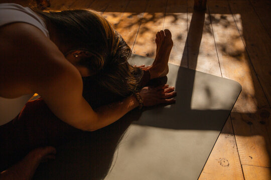 Folded Forward in Golden Morning Light