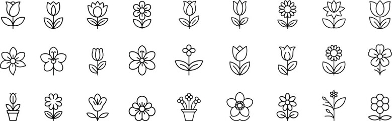 Flower line icon set. Vector thin linear illustration. Flowers - rose, daisy, tulip, sunflower, various flower species.