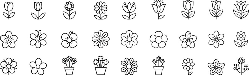 Flowers line icon set. various flower species - azalea, anemone, bird paradise, thin linear illustration.