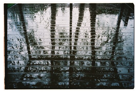 Reflections of Raindrops on Wooden Deck at Dusk