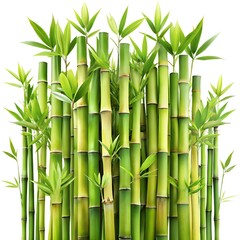 Lush Bamboo Houseplant in Pot