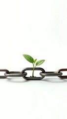 Obraz premium A minimalist 3D render of a broken chain link with a green sprout growing through it, symbolizing freedom, resilience, and renewal, isolated on a plain white background. 