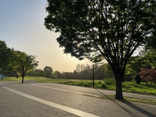 みどりの文化ゾーン付近 - 公園（東京・立川市昭和記念公園）