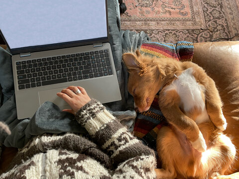 POV of an anonymous woman working on a laptop with her sleeping puppy