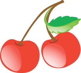 vector illustration of cherry