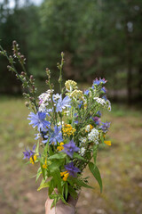 hand holding a vibrant bouquet of wildflowers dominated by blues and yellows in a forest setting with soft, natural light and blurred green background, creative, bloom, life, growth, texture