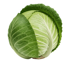 Fototapeta premium Fresh Green Cabbage Head with Leafy Texture on Transparent Background