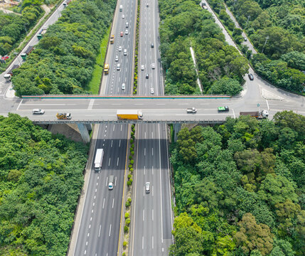 Aerial Highway Overpass Bridge Forest Intersection View