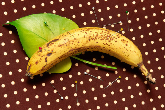 Still life with PIns, Banana and a Green Leaf on Polka Dot Background
