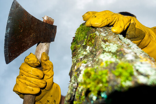 Hands in Yellow Work Gloves Holding Axe and Log Wood