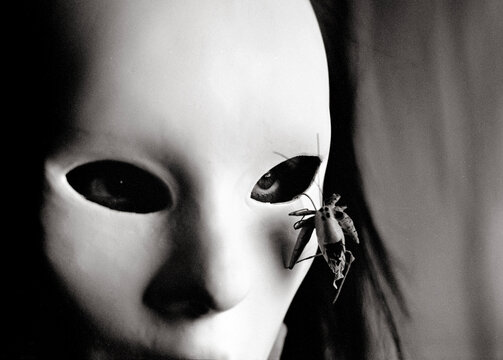 The covered face