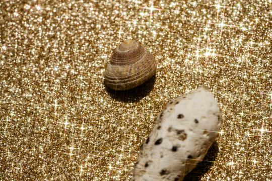 Shells
