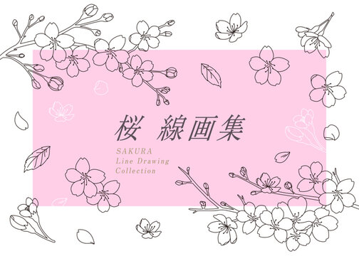 3月〜4月　桜　線画　フレーム風　セット