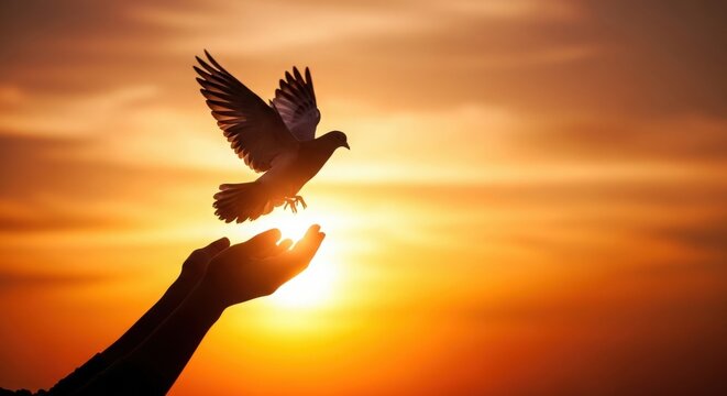 Peaceful dove flying to freedom from outstretched hands at sunset
