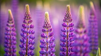 Naklejka premium Lush purple flowers create stunning display in meadows, showcasing beautiful flower identification in meadows