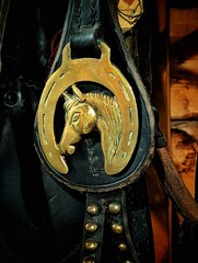 old clothes with horse 