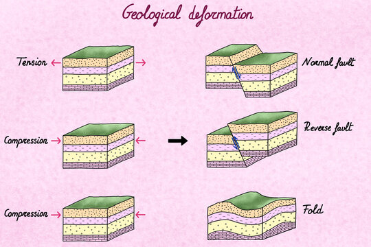 Illustration of types of Geological Deformation: Faults and Folds