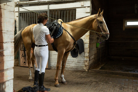 Female jockey preparing horse for riding in stable