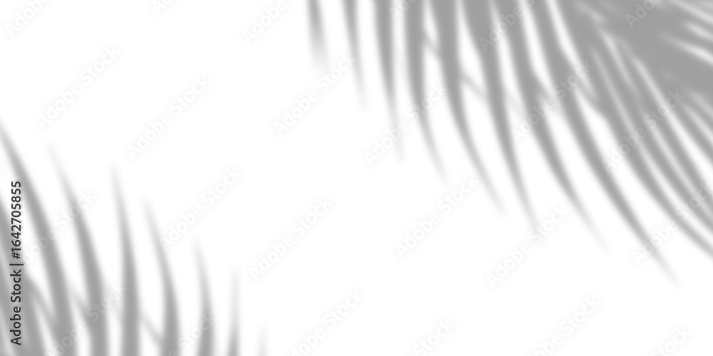 Poster soft gray gradient on transparent canvas for smooth transitions and subtle shading in digital illust