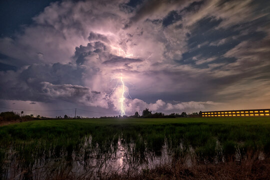 Night Storm with Lightning Over Rice Fields in the Ebro Delta