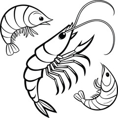 Fototapeta premium Detailed Black and White Shrimp Illustration Featuring Three Prawns in Varying Poses Displaying Anatomy and Crustacean Design