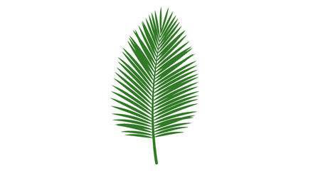 Obraz premium lush green palm frond tropical design element for summer branding