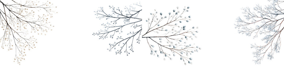 Delicate Baby's Breath Twigs on White Background, Floral Design Elements