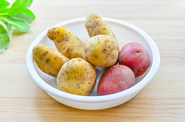 ジャガイモ三種類