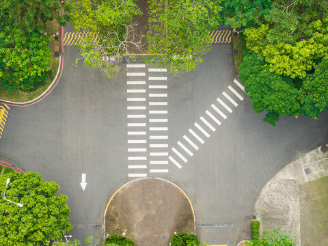 Aerial View Urban Road Intersection with Crosswalk and Trees