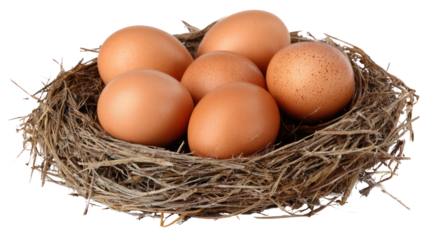 A cozy nest filled with brown eggs, symbolizing new beginnings and fertility. Perfect for themes related to nature, farming, and the comfort of the outdoors.