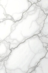 Close-up view of a white marble slab with intricate gray veining patterns.