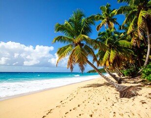 Tropical beach paradise (8)