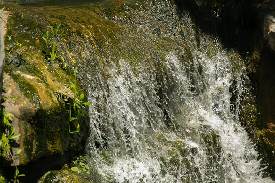 Waterfall in Chinese Garden Sydney