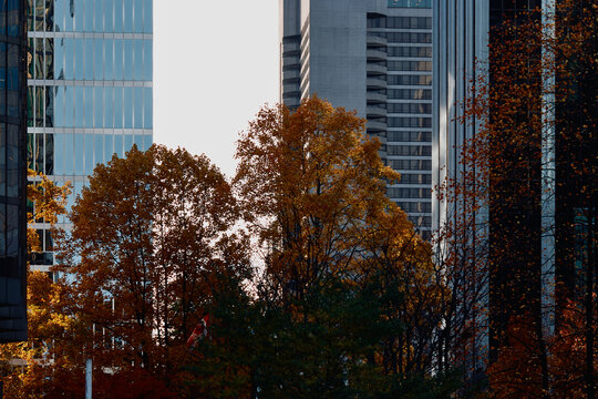 Autumn Reflections on Vancouver Skyscrapers
