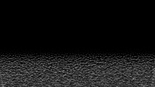 Mycelium Network Linear Growth - Black Background