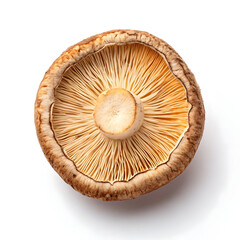 Dried mushroom slices laid out on a white background, showcasing