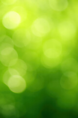 Fototapeta premium Abstract beautiful attractive elegant concept and theme create a soothing green background full nature's charm