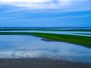 Dry river, green textures overhead, tree of life landscape