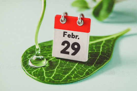 Leap Day calendar marked February 29 on green leaf background concept