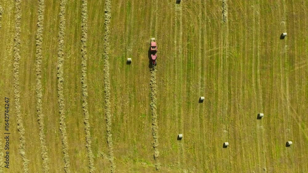 Poster overhead view of tractor forming hay bales in symmetrical summer field rows