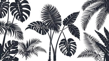 palm tree silhouette