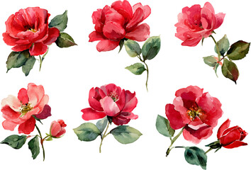 red watercolor flowers
