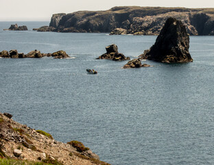 rocky coast of the sea, Newfoundland, Canada
